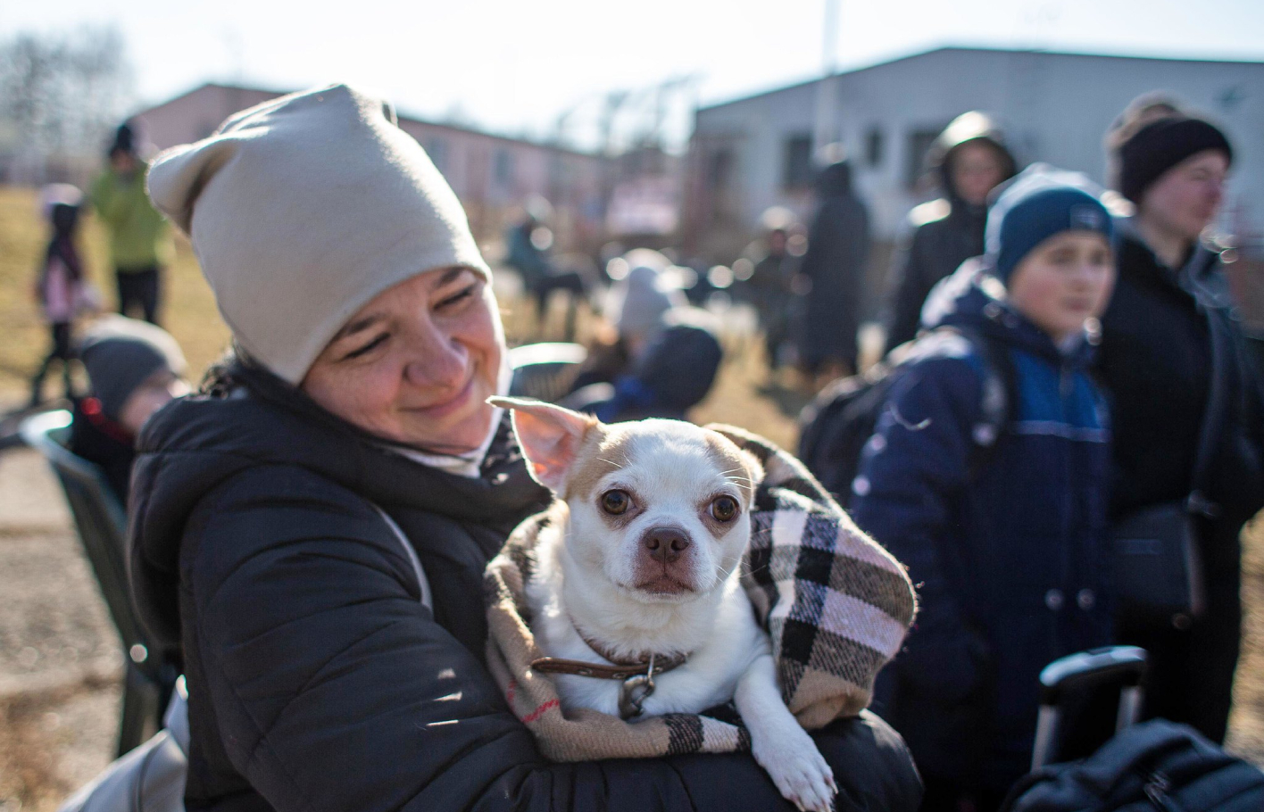 Ukrainehilfe für Tiere in Not