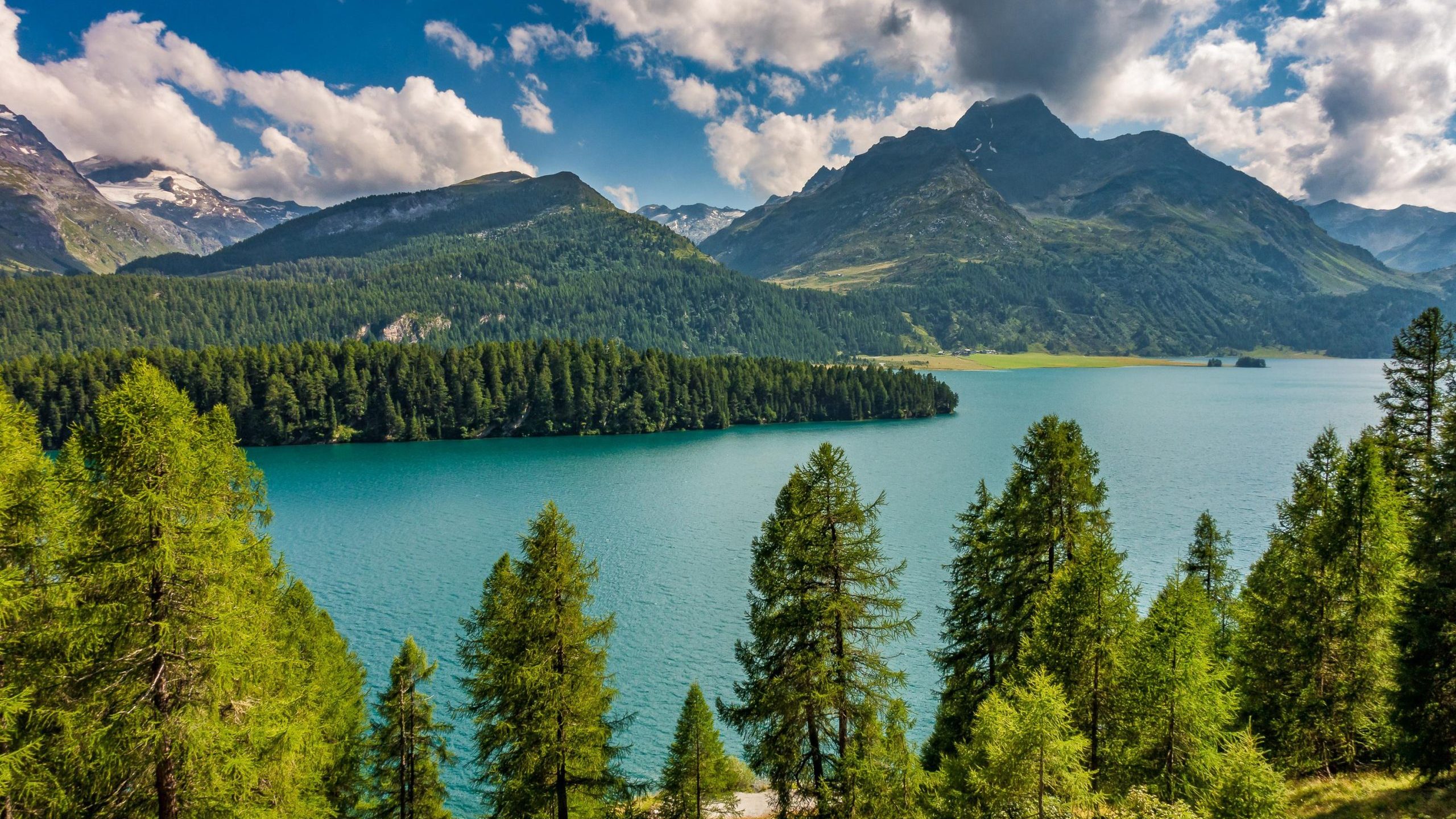 Schweizer Landschaft mit See, Wald und Bergen.