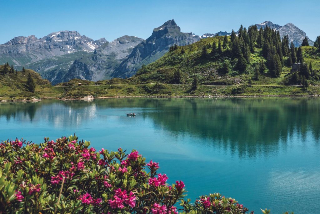 Schweizer Natur mit blauem See, Wald und Berge.