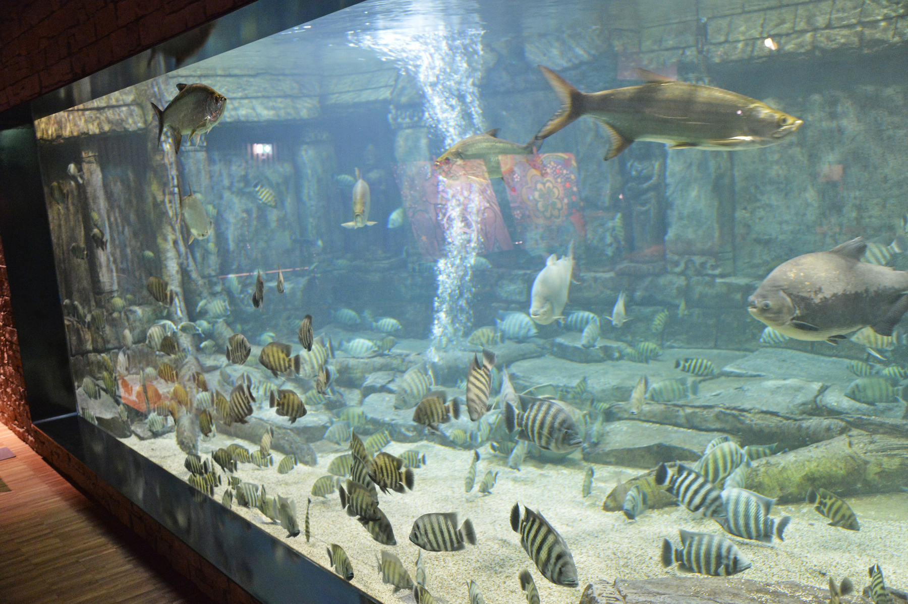 Aquarium im Hotel Meilenstein, Langenthal