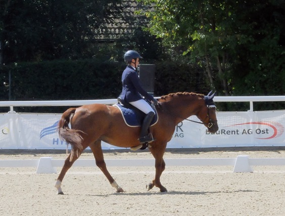 Dressur nach CC-Manier: Die Vielseitigkeitsreiter*innen hatten ihre Pferde im «freien Schritt» zu zeigen.