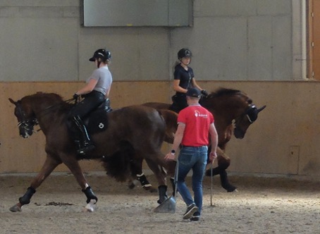 Trainer Oliver Oelrich konnte noch so nahe bei den Pferden sein – die engen Kopf-Hals-Haltungen störten ihn nicht.