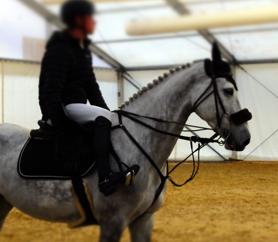 Die Forderungen nach strengeren Vorschriften bei der Zäumung (links) sind gestellt, mit einer Antwort wartet die FEI aber zu. Wenn das Pferd auf dem Abreiteplatz schon gestresst ist, wie will es dann im Parcours klappen? (rechts)
