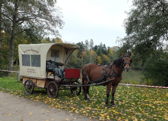 Jonquille weiss in allen Situationen ihren Dienst bestens zu versehen. 
