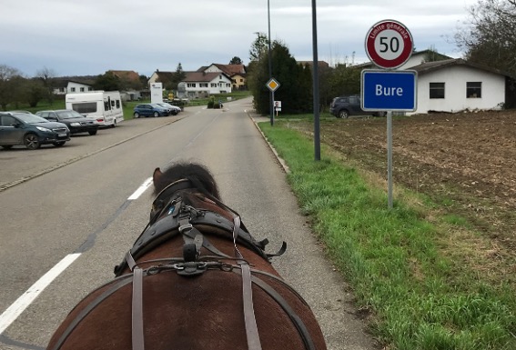 Die erste Strecke von Courtedoux nach Bure fordert mit über 100 Meter Höhenunterschied viel Kraft vom Pferd.