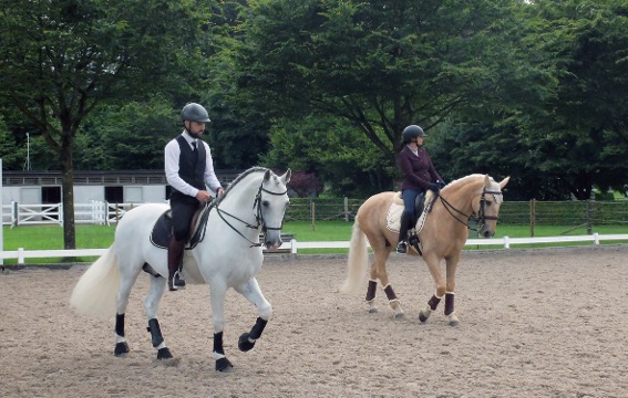 Working Equitation hat den Ursprung in Südeuropa, wie bei den zu sehenden Pferderassen sowie den Outfits der Reiter*innen und Pferden zu sehen ist. 