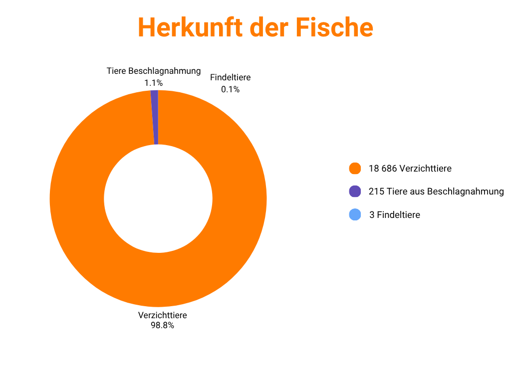 Herkunft der Fische (2025)