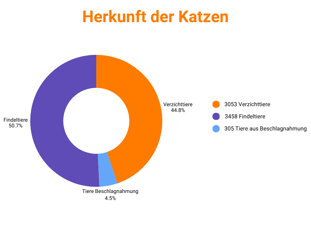 Herkunft der Katzen