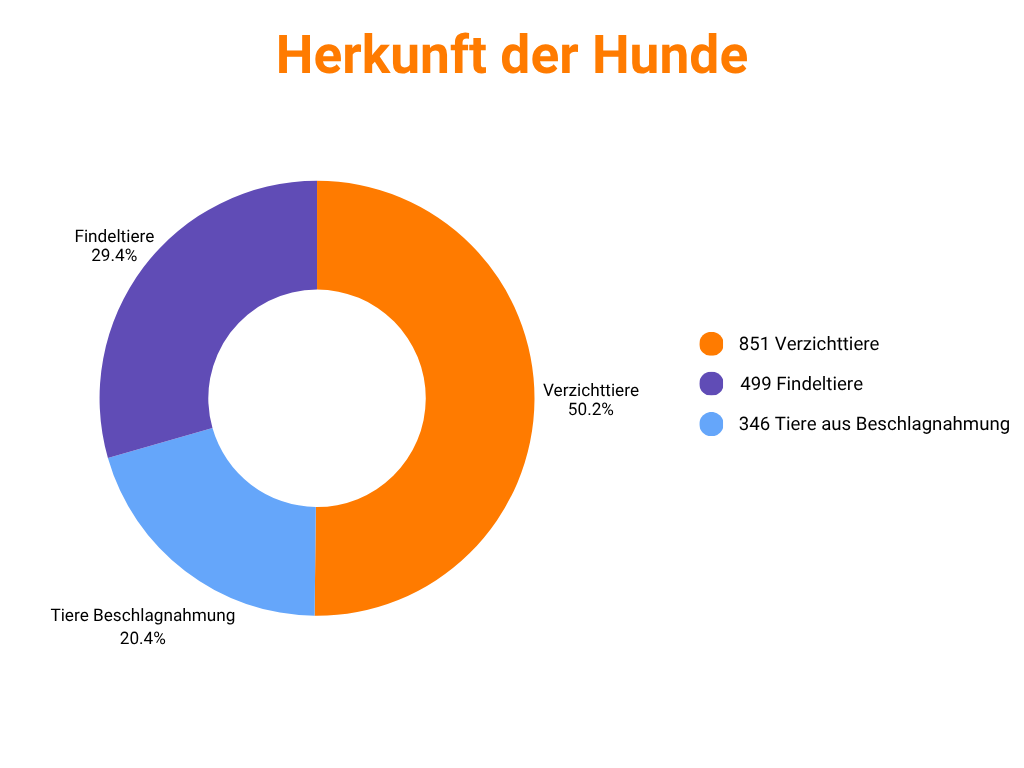 Herkunft der Hunde