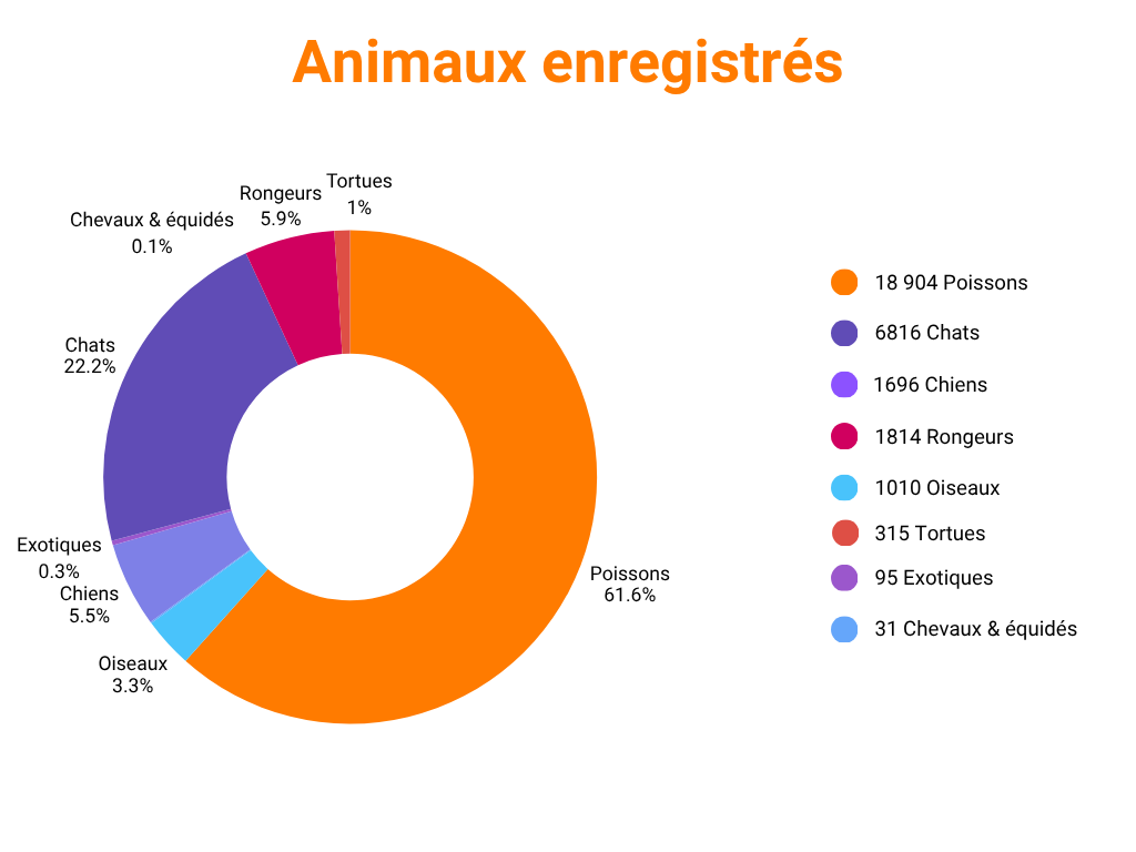 Animaux enregistrés