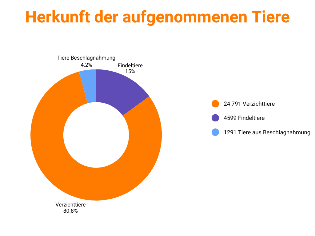 Herkunft der aufgenommenen Tiere (2025)