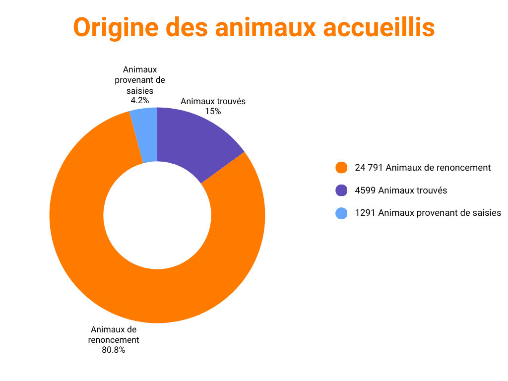 Origine des animaux accueillis