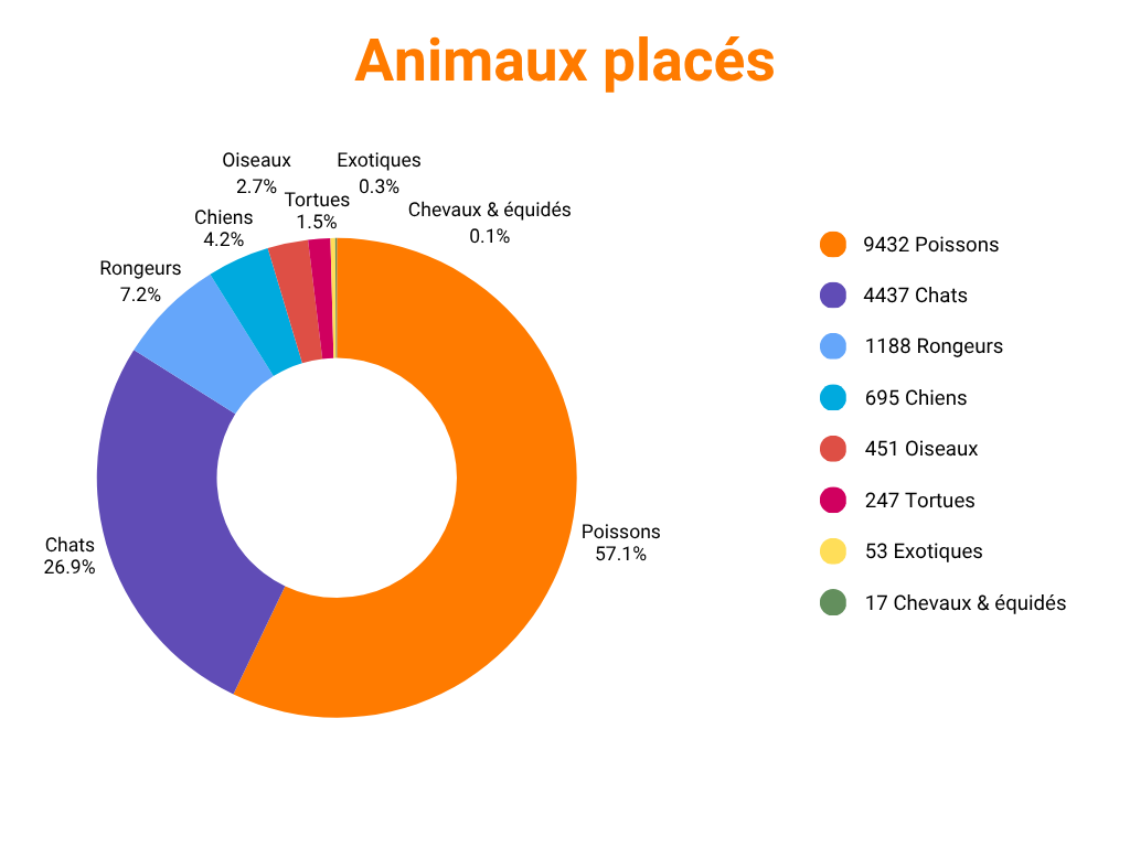 Animaux placés